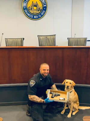 K9 Officer Finds Loaded Illegal Gun During Traffic Stop In Westchester
