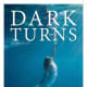 "Dark Turns," by former crime reporer Cate Holahan.