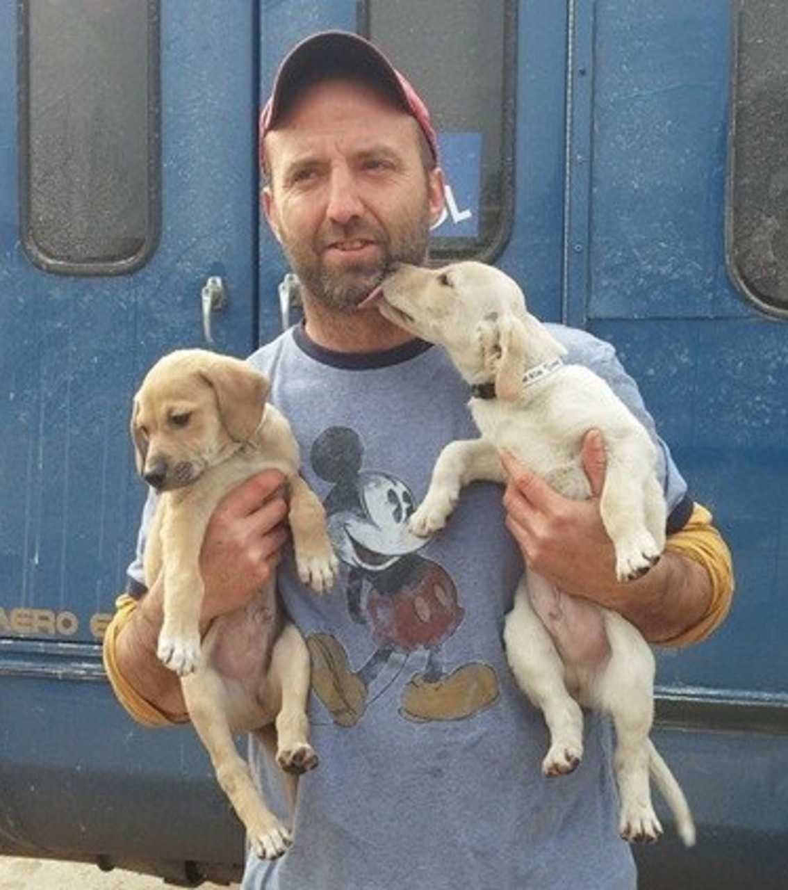 Steve Quilliam, of Fair Lawn, makes fast friends with two puppies he rescued last spring.