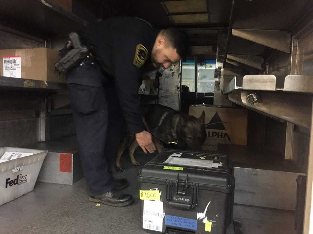 A Norwalk police officer and his K-9 partner Kai