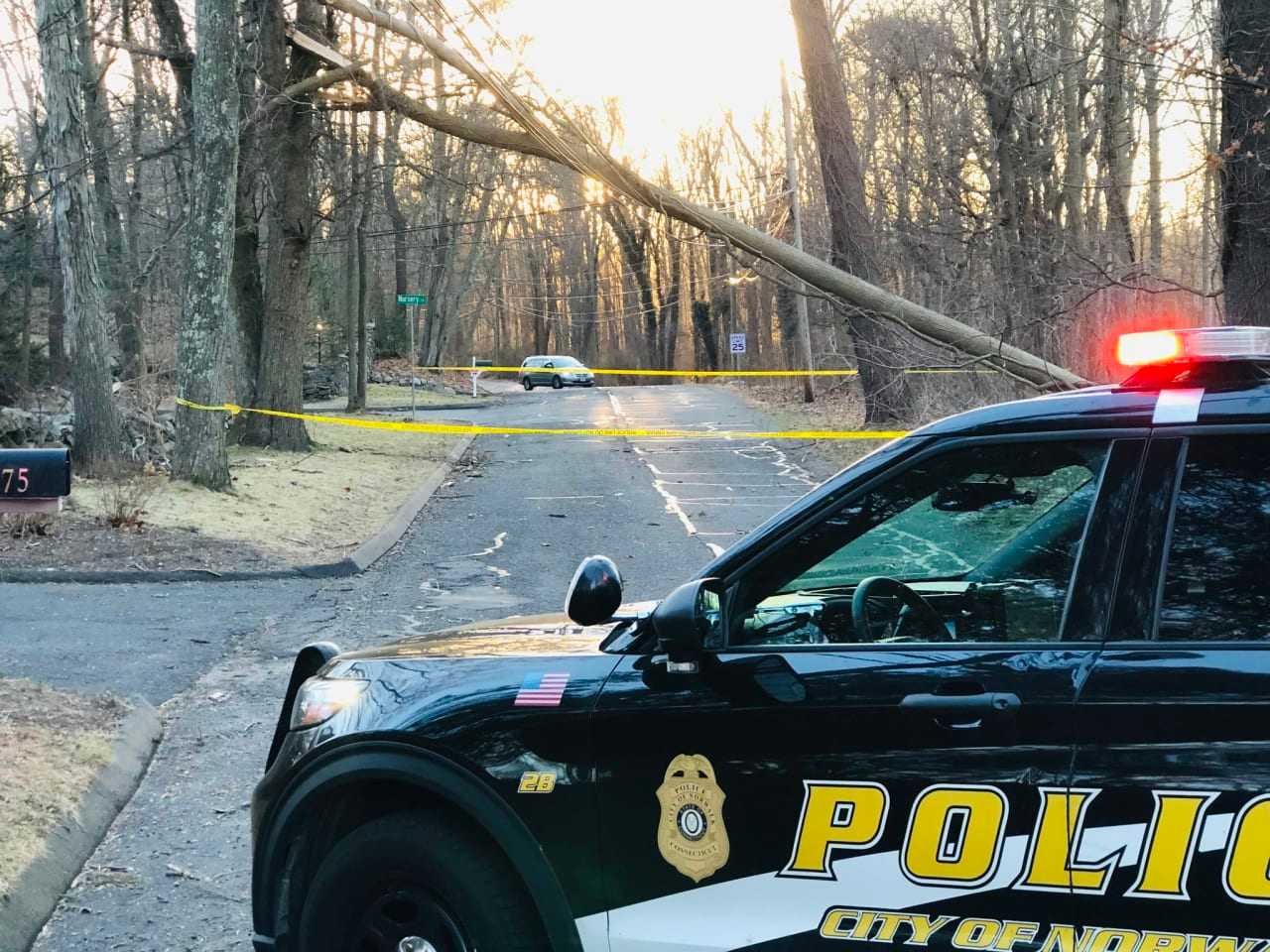 A tree fell in Norwalk in the area of Nursery St at Nursery Court.