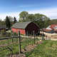Spring has sprung at Jones Family Farms in Shelton.