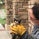 Westchester County Police teamed with Mount Kisco's Animal Control to rescue a distressed kitten.