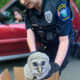An Easton Police officer helped save a baby Barred Owl found sitting in the middle of a busy road.