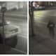 Hit-Run: Police Asking For Help Identifying Vehicle Involved In Bridgeport Incident
