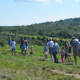 Blueberry lovers take to the fields at Jones Family Farms in Shelton.