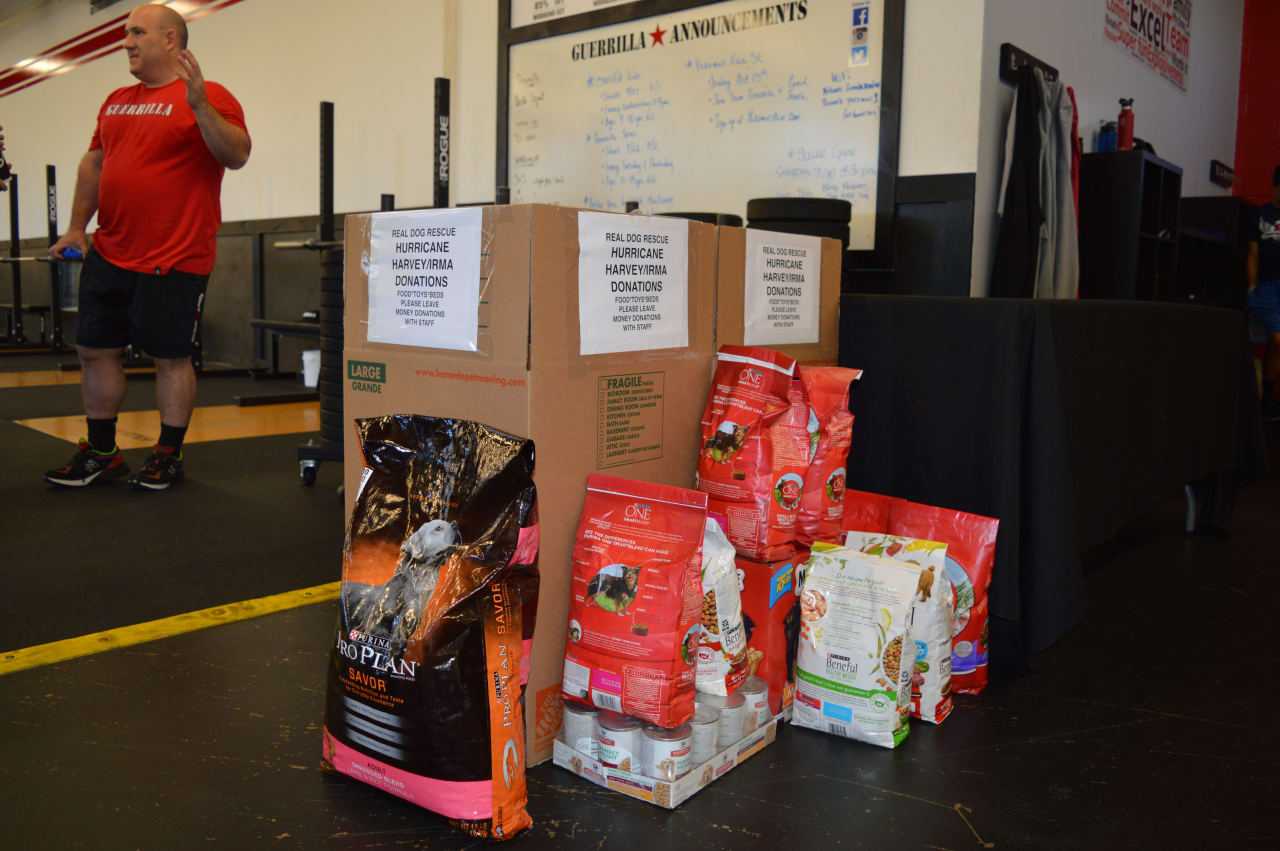 Food and toy donations came pouring in.