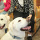The dogs and the people enjoyed the parade at Waveny LifeCare Network in New Canaan.