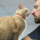 Cleo sees eye to eye with volunteer Dave at the PATCH cat shelter in Pompton Lakes.
