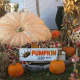 A pumpkin weighting 1,826 pounds on display at 50 Parsons St. in Harrison.