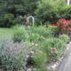 Come June, what was a dead-looking patch in April in Norwalk resident Laura White's garden is lush with flowers.
