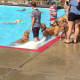 Locals partake in the dog pool party.