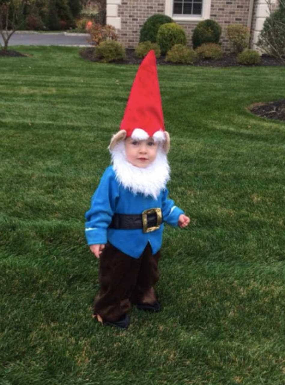 The cutest garden gnome.