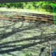 A picture of Peter Manfredonia walking on train tracks  in East Stroudsburg, Monroe County, Pennsylvania on Sunday, May 24 was released on Monday afternoon, May 25 by Pennsylvania State Police.