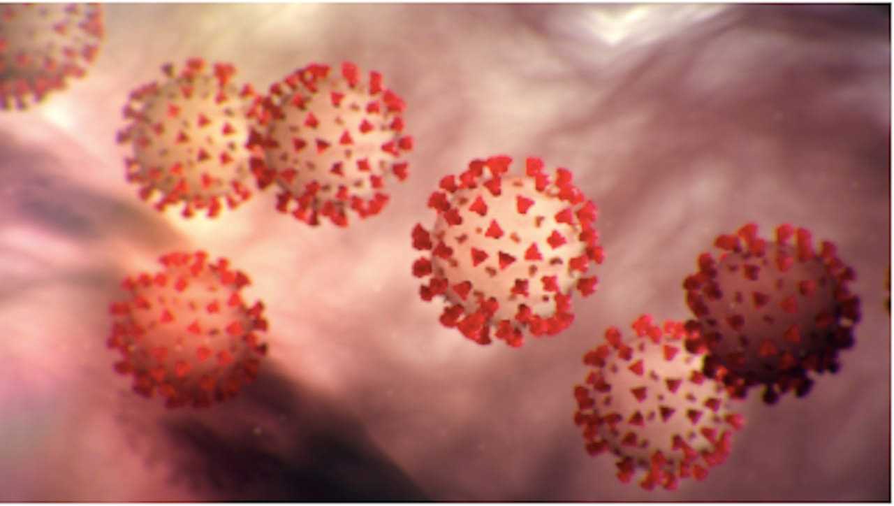 COVID-19: New Study Reveals How Long 'Durable Protection' May Last After Catching Virus