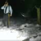 Watch NJSP Rescue Missing Man With Hypothermia From Stokes State Forest (VIDEO)