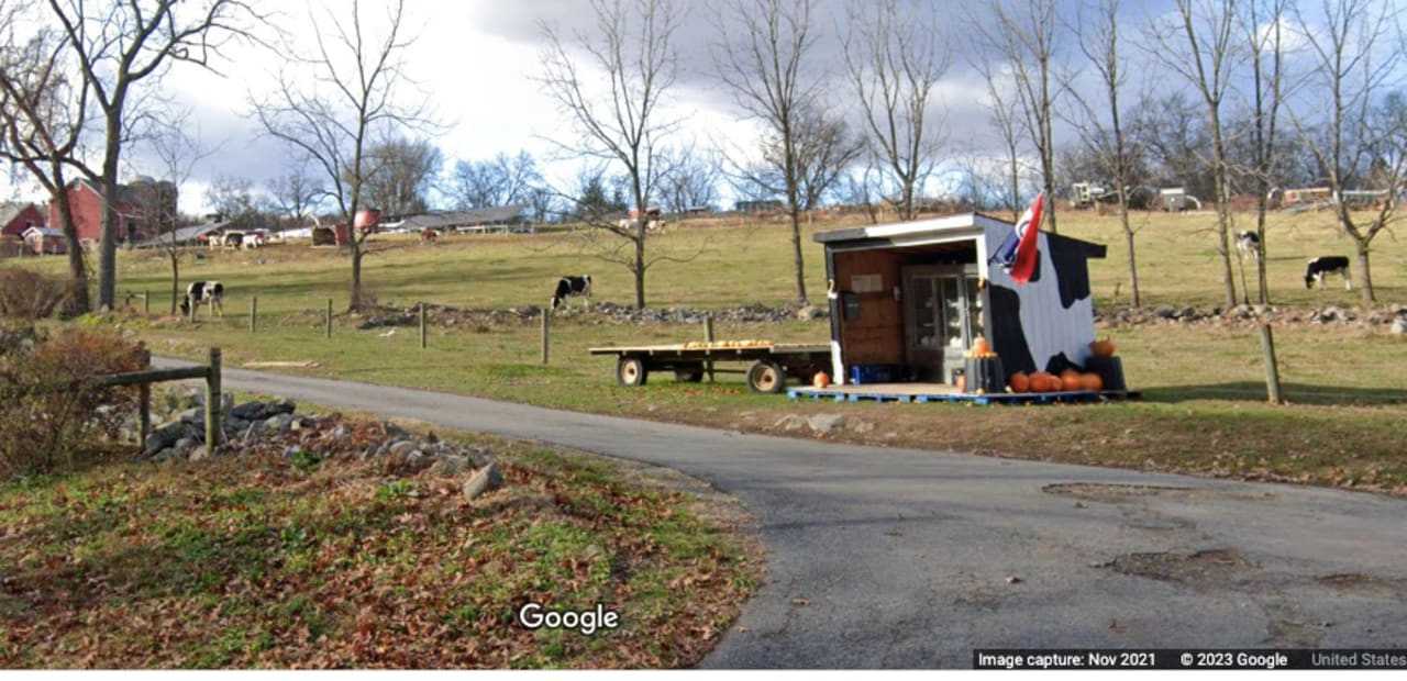 Dead Livestock, Poor Conditions Lead To Charges Against Warren County Man: Prosecutor