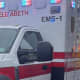 Elizabeth Dog Fighting Accident Leaves 2 Pit Bulls Dead, 3 Women Hospitalized