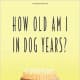 Susan Goldfein self-published her first book, "How Old am I in Dog Years?"