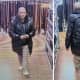 Information Sought: Suspect Steals From Walmart In Mohegan Lake, Police Say