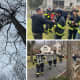Cat Stuck In Tree: Pet Rescue Gives Firefighters Chance To Train In Croton-On-Hudson