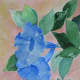 Bright blue morning glories are rendered in watercolor by Sister Mary Ellen Wisner, a Dominican nun. An exhibit of her artwork is on now through Sept. 16 at the Mariandale Retreat and Conference Center in Ossining.