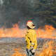 $1M Grant Awarded For Wildfire Prevention Near NJ Military Bases