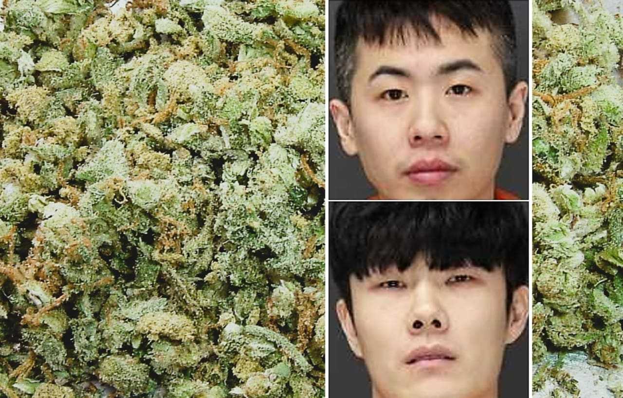 BLUNT OBJECTS: 400 Pounds Of Weed Seized, Duo Detained In Bergen Traffic Stop