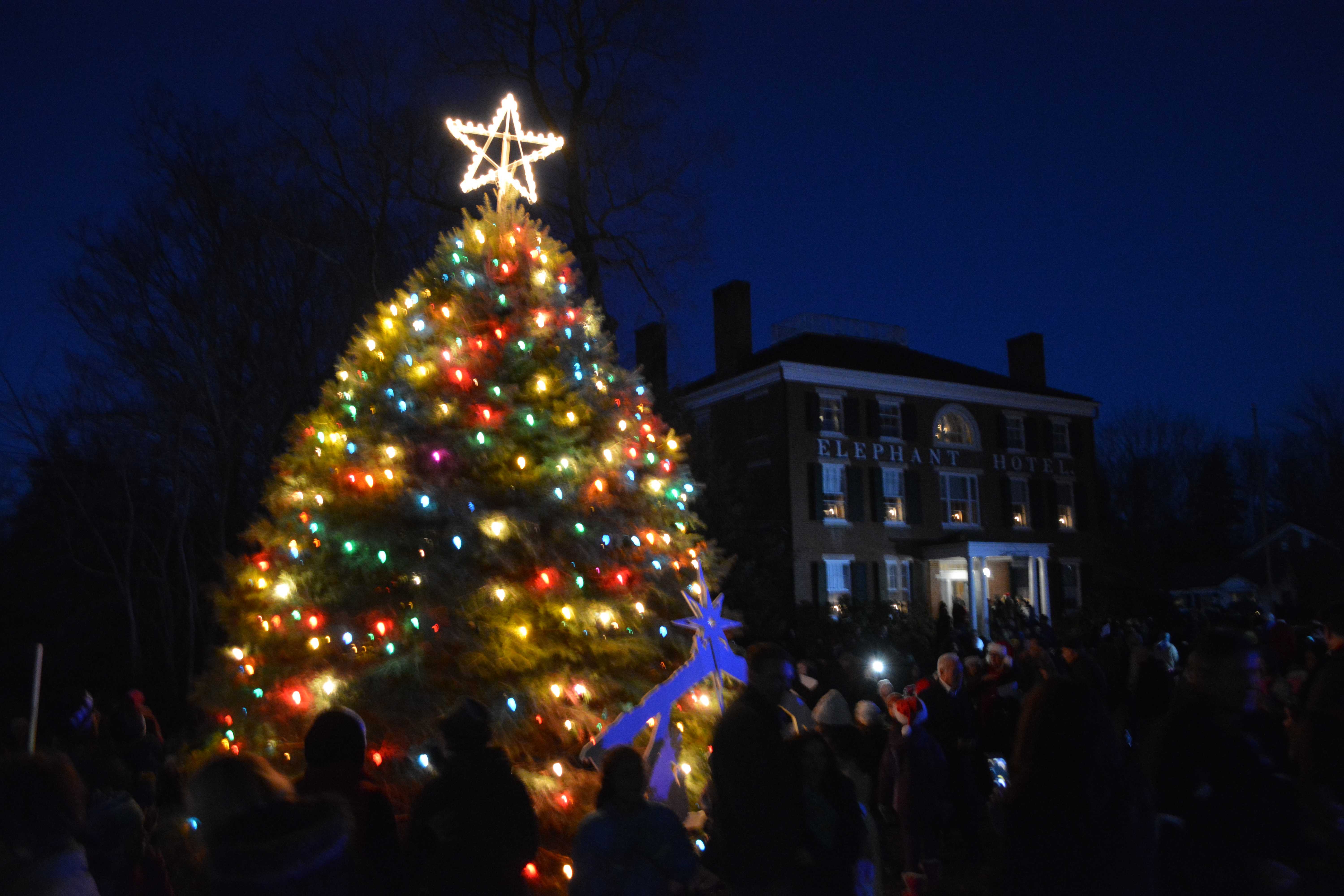 Somers' lit Christmas tree near the Elephant Hotel.