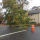 A downed tree on Oak Street in Harrison cause power to be knocked out to thousands of customers.