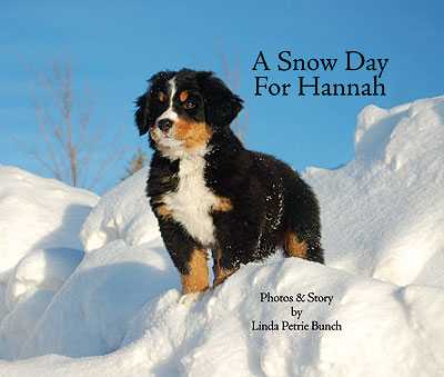 Linda Petrie Bunch, author of "A Snow Day for Hannah," writes stories that revolve around her Bernese mountain dog Hannah.
