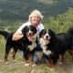 Children's author Linda Petrie Bunch of Colorado has loved Bernese mountain dogs for more than 20 years.