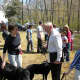 Rabbi Fred Schwalb blesses dogs last Sunday at Hebrew Congregation of Somers annual "Bark Mitzvah."  