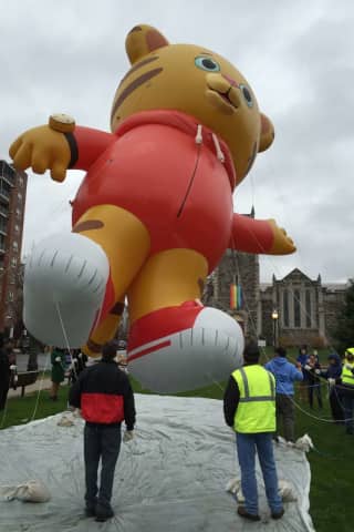 Parade Comes To Life: Join The Fun At Stamford's Balloon Inflation Party