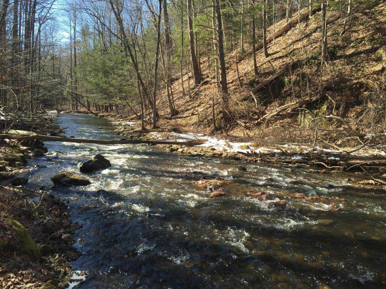 Sherman Man Turns New Fairfield's Great Hollow Into Nature Preserve