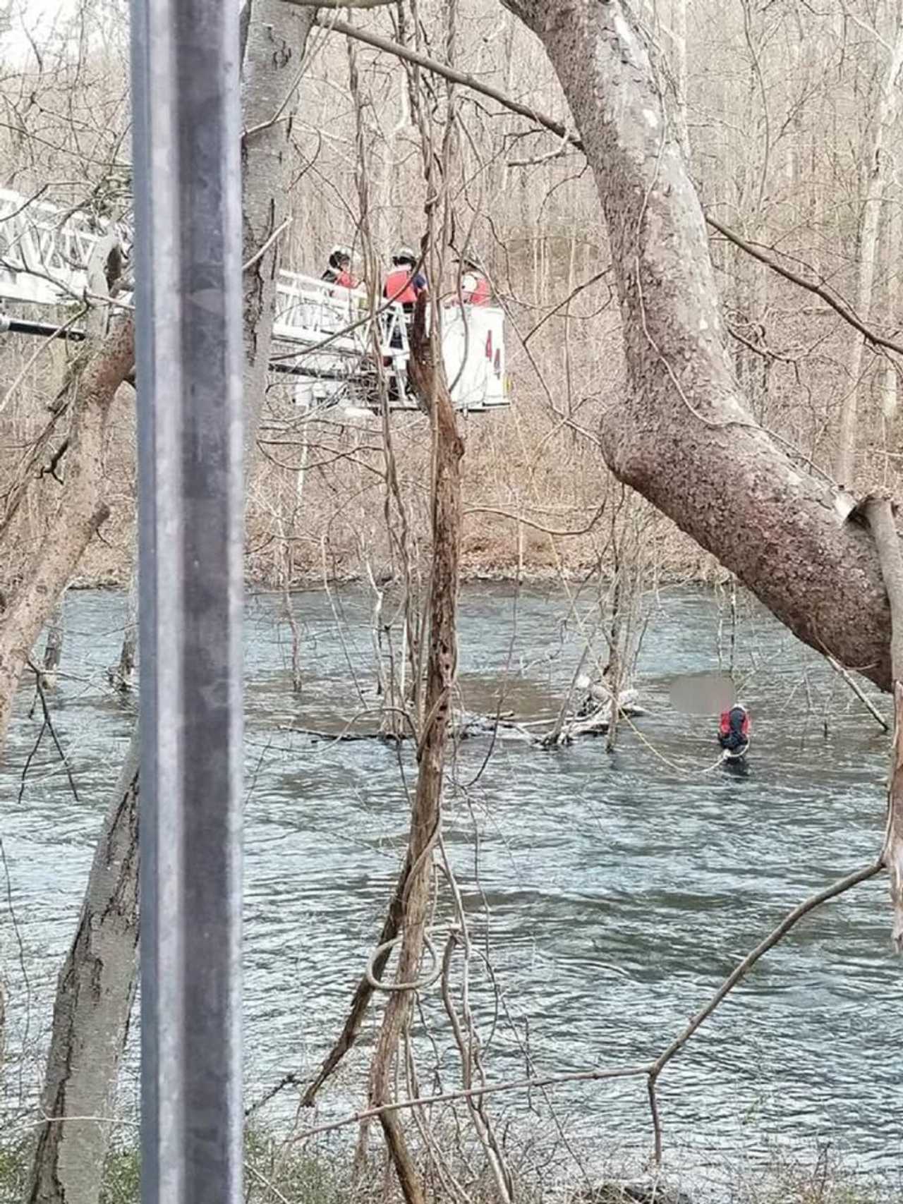 Man Clinging To Branch After Trying To Save Dog Rescued From Croton
