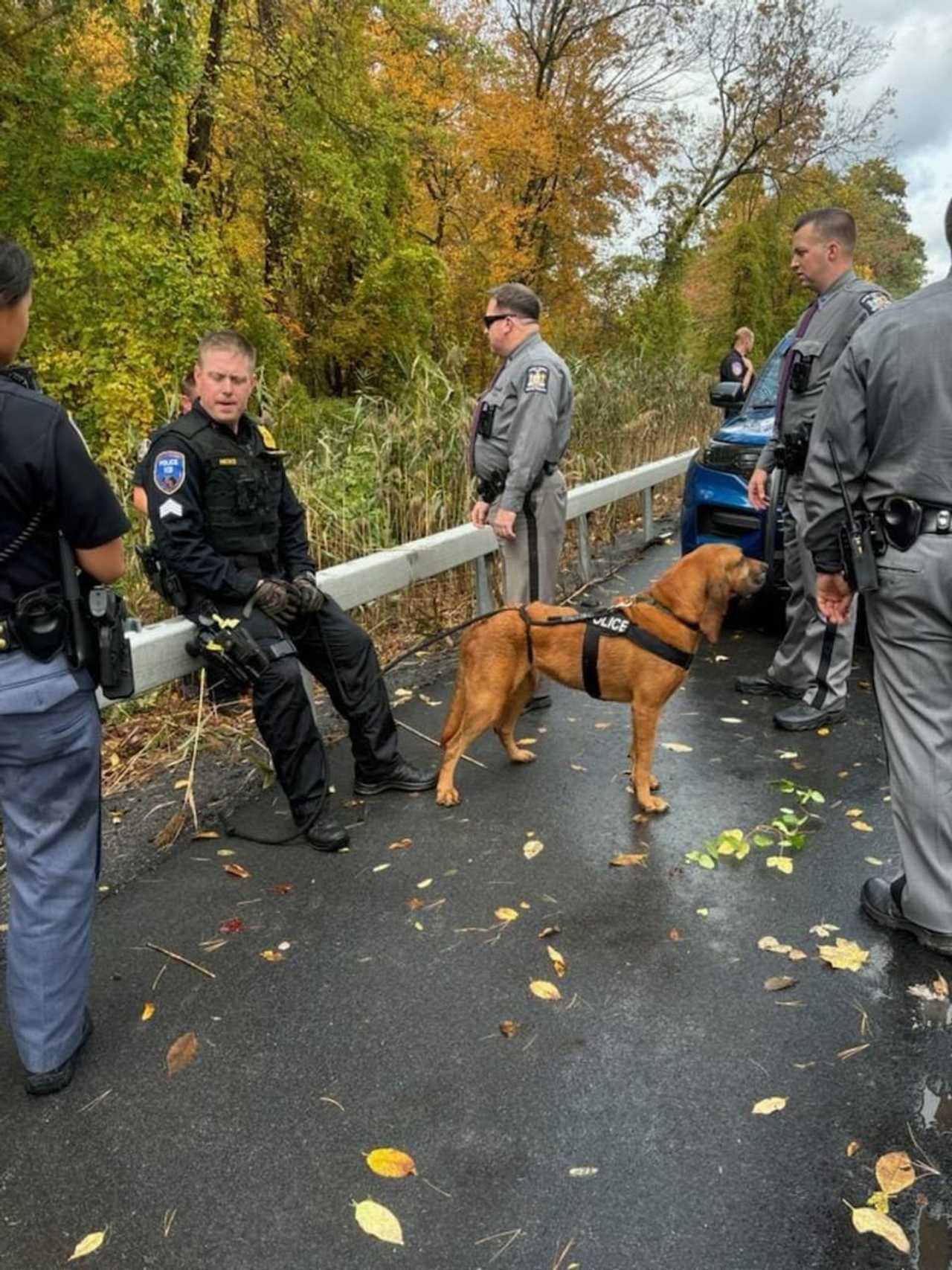 4 Teens Caught With Help From K9 In Chase Near Westchester Airport