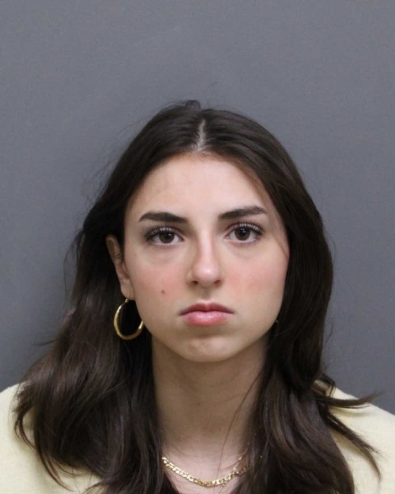 Daily Arrest Weld County 67 - bod77ql