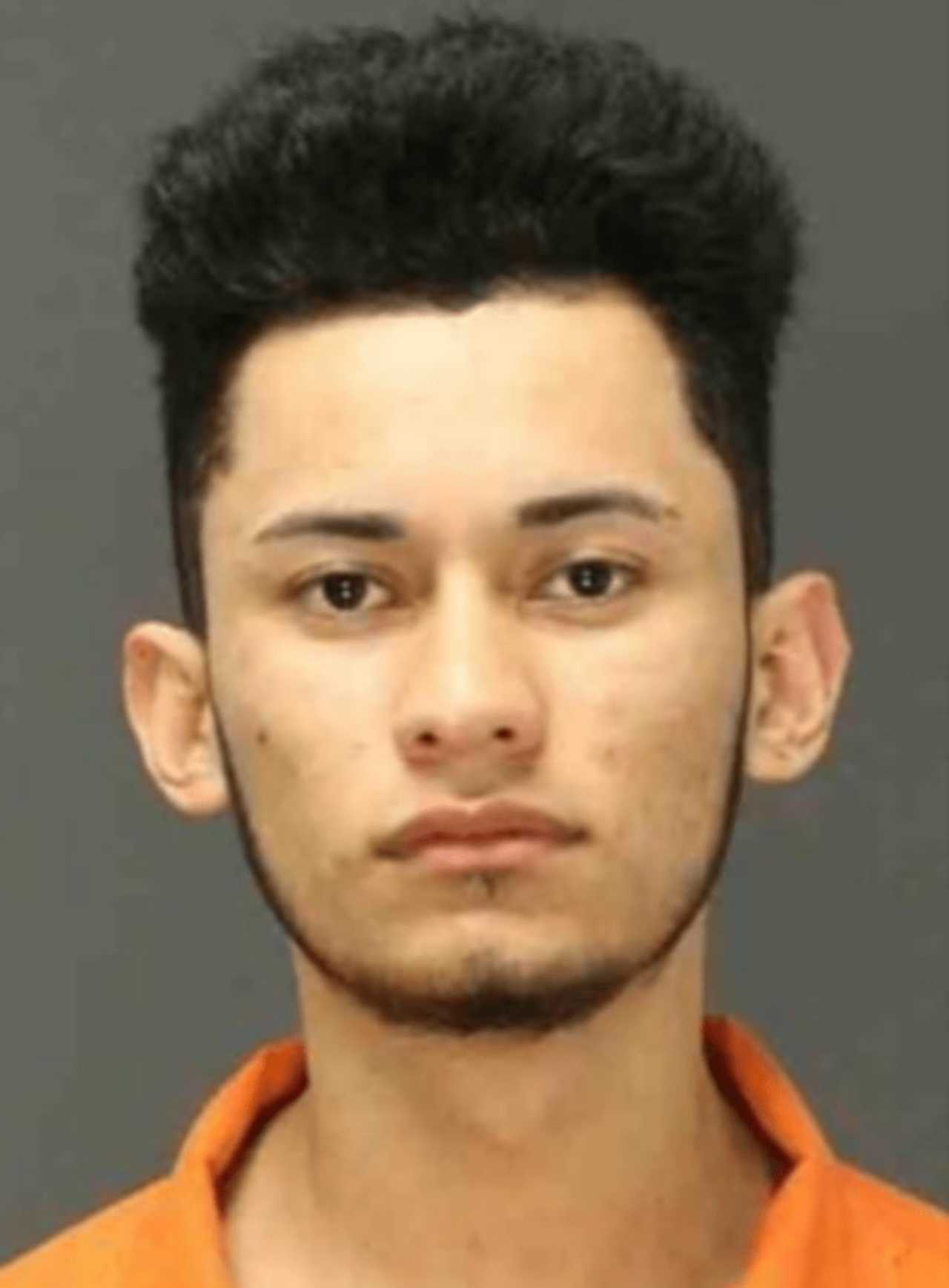 Suffern Gang Member Admits Role In Ridgewood Cab, Hawthorne Bar