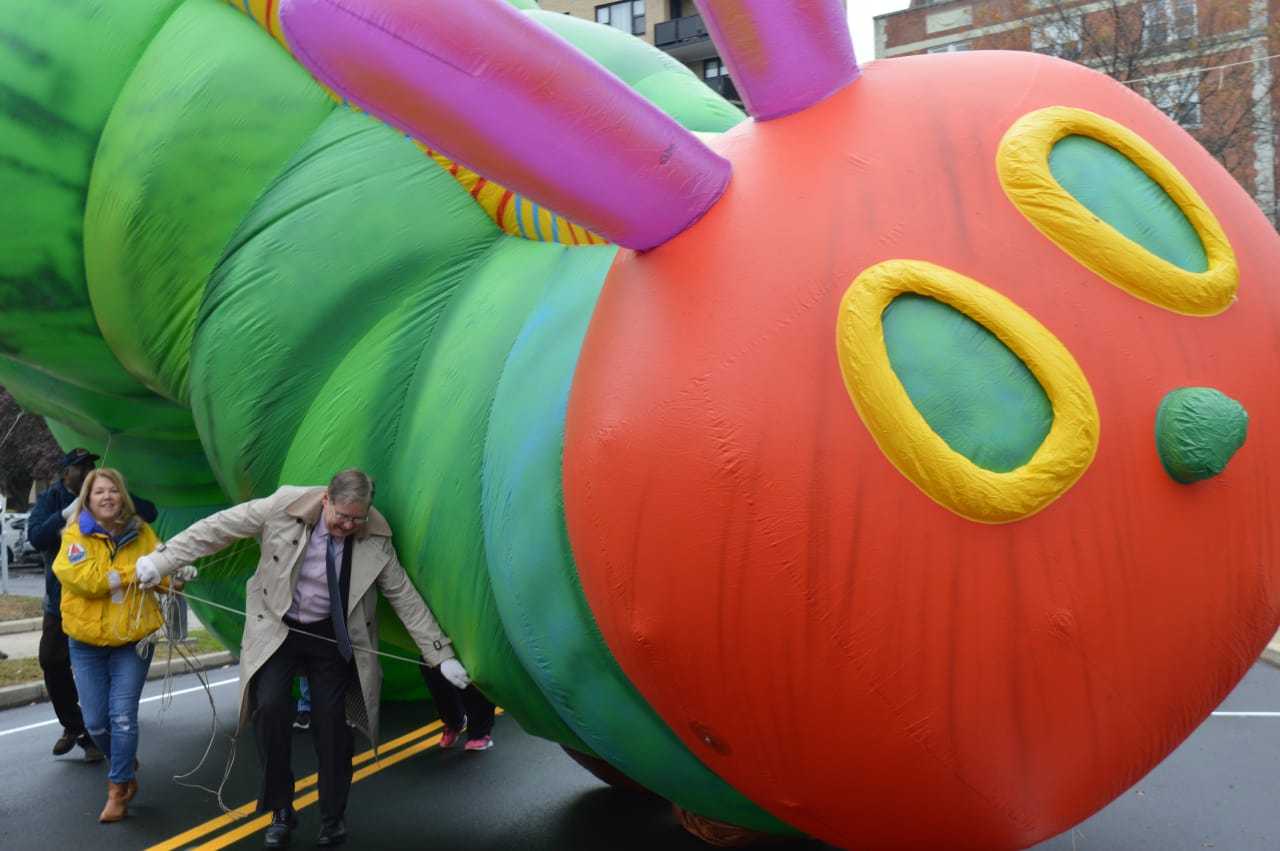 Volunteers Take Caterpillar For A Walk At Stamford Parade Preview | New ...