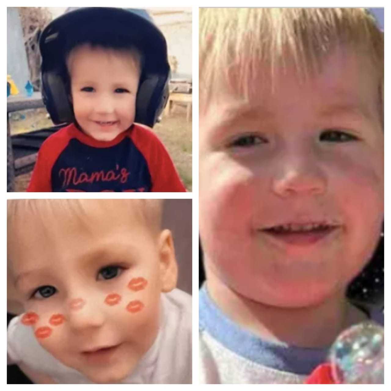 VA Boy Killed In MD Dog Attack Was Smiley, Happy Child, Family Says