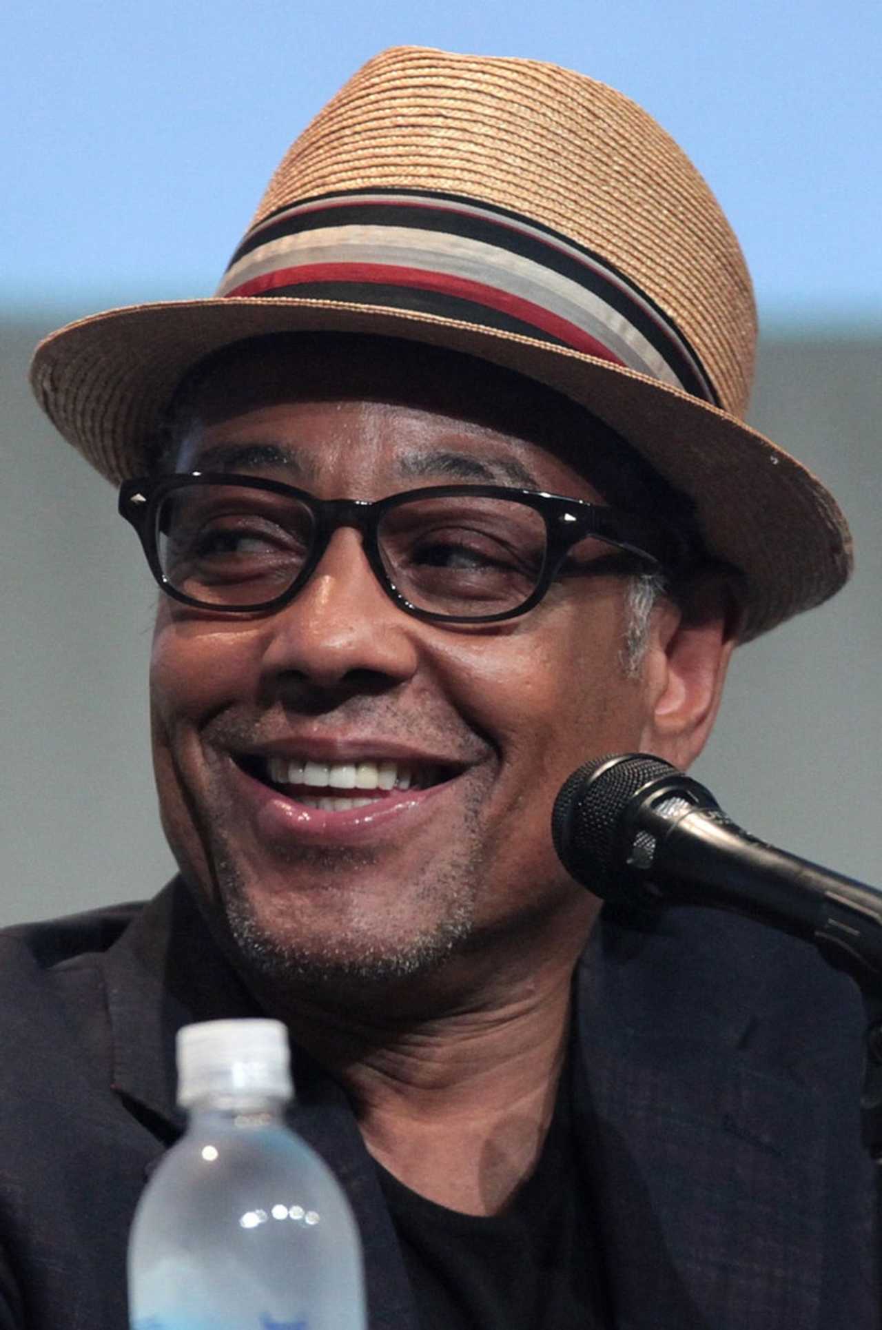 Happy Birthday To Red Hook’s Giancarlo Esposito | Northwest Dutchess