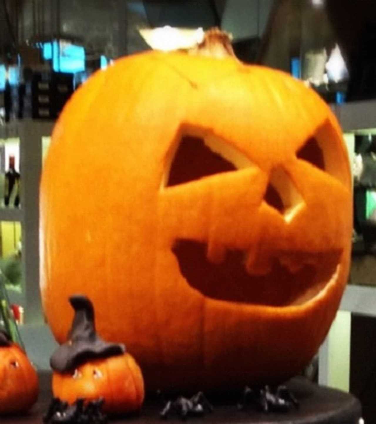 Beware Of Halloween's Scariest 'Trick' HitAndRun PopUp Stores