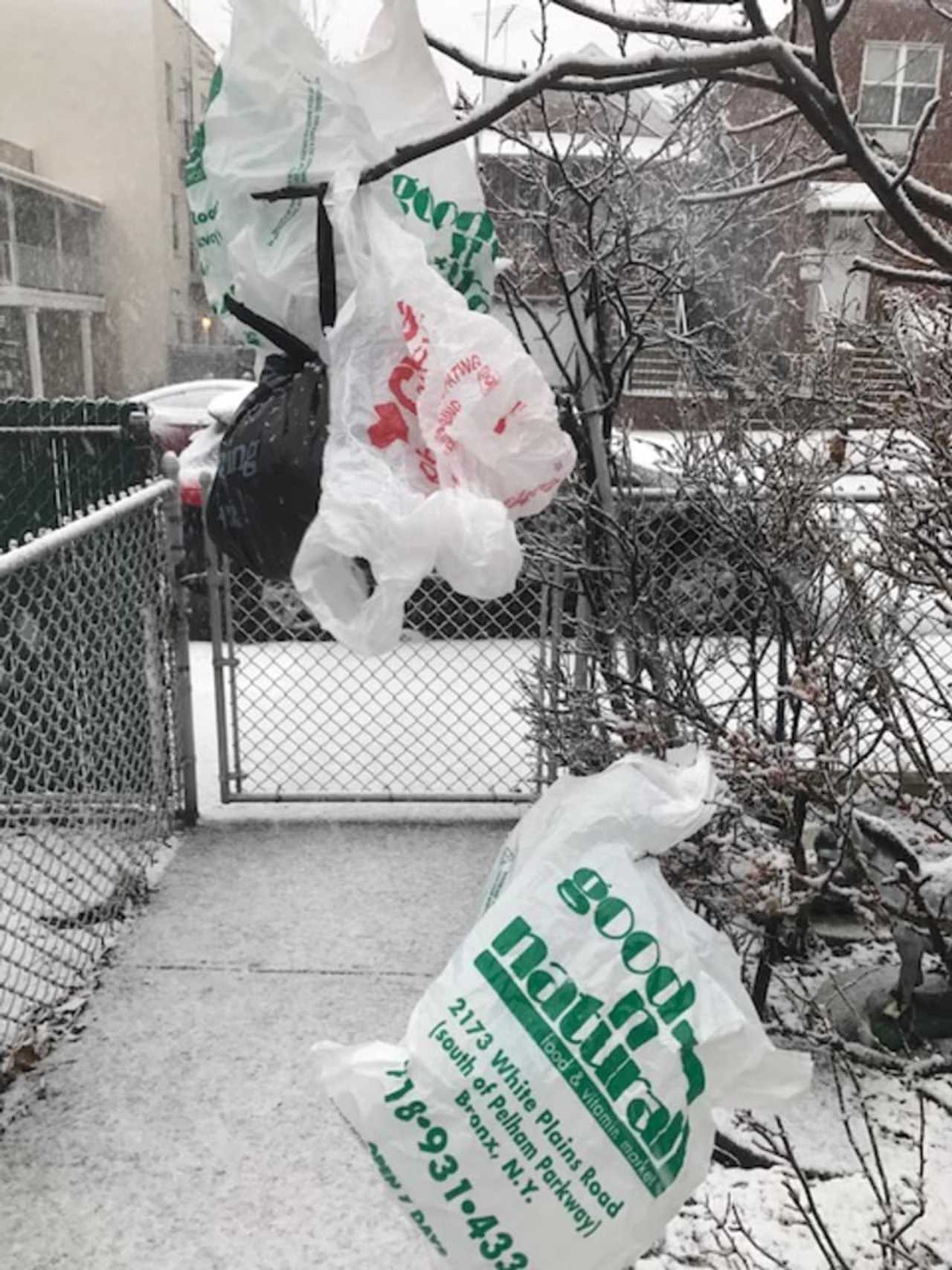 New York State to ban plastic bags—here's why