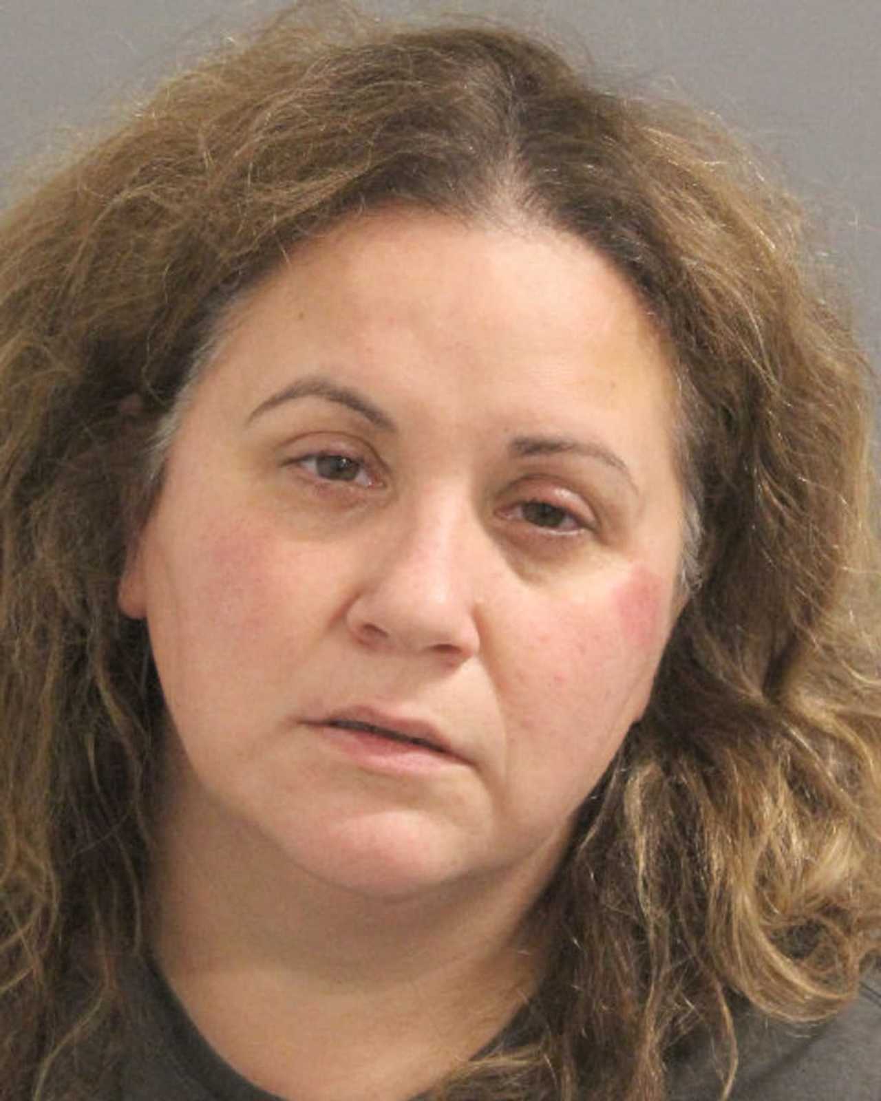 Nassau County Ny Last 90 Days Mugshots - zzvtr1t