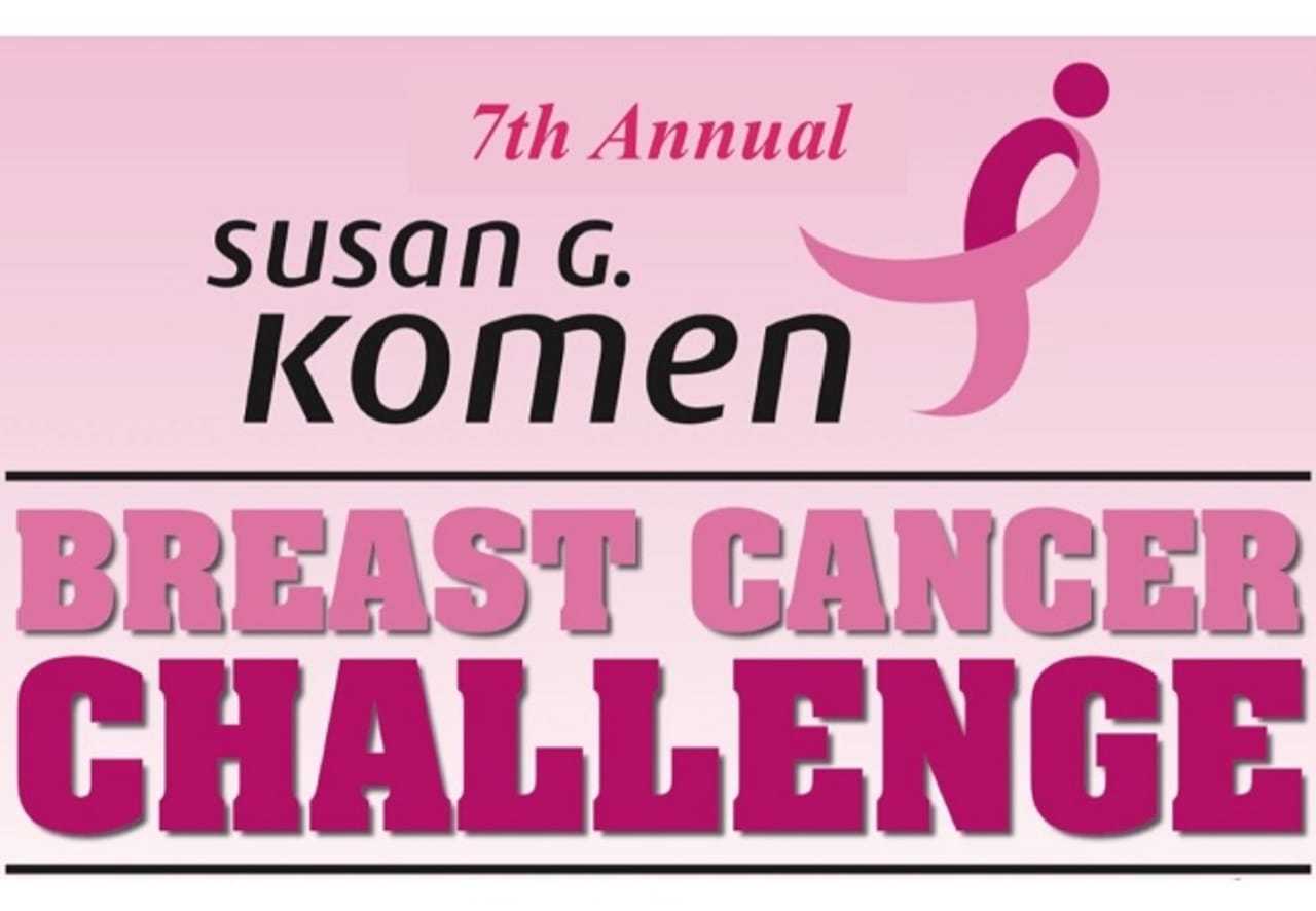 Bergen Girls Softball Teams Flock To Demarest For Breast Cancer