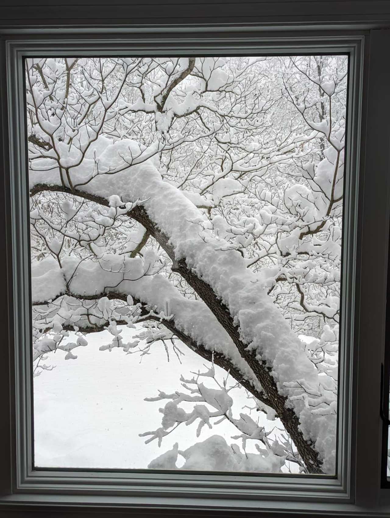 How Much Snow Did You Get? New Winter Storm Produces HigherThan