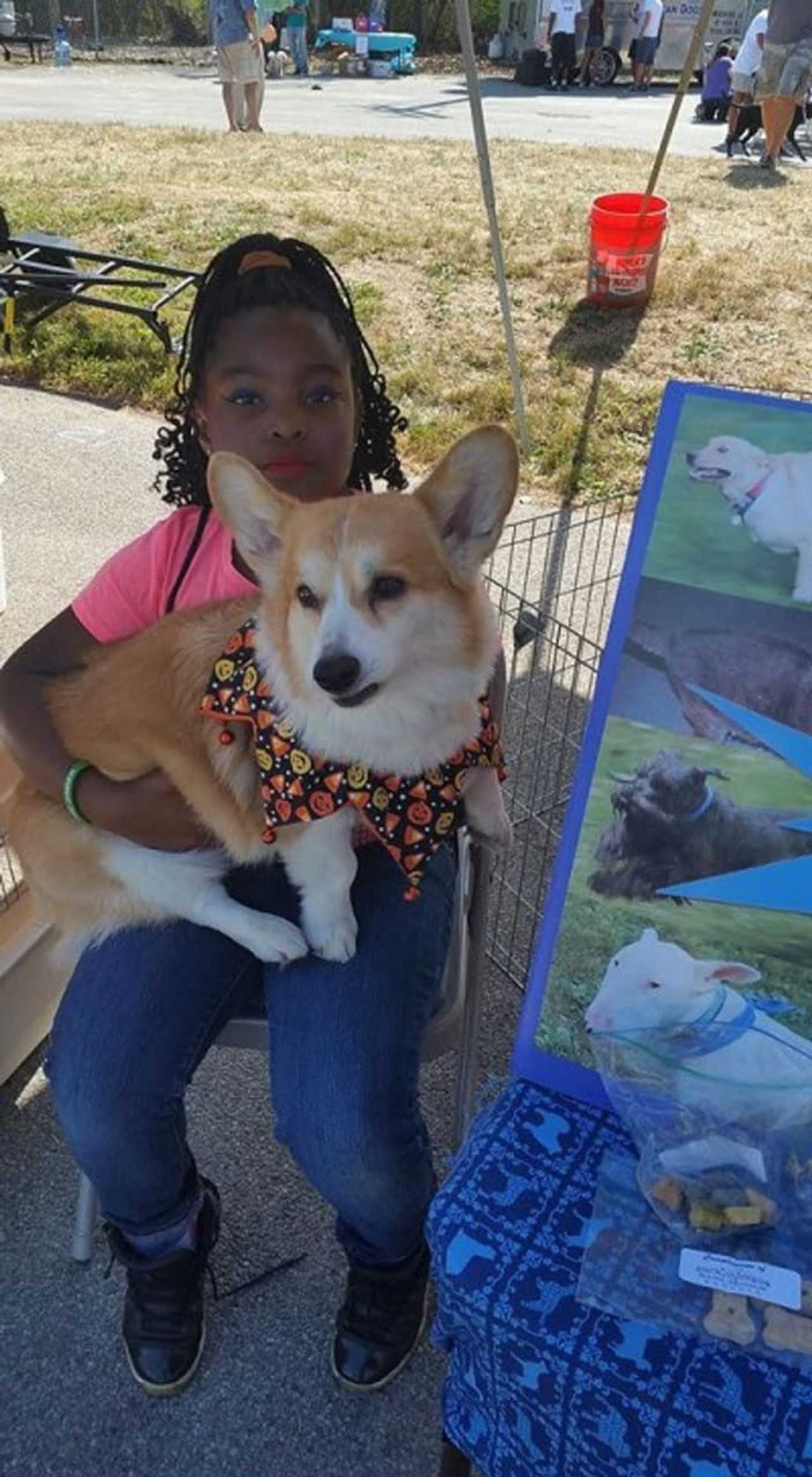 Elmsford Animal Shelter Marks Milestone, Plans Fundraising Events