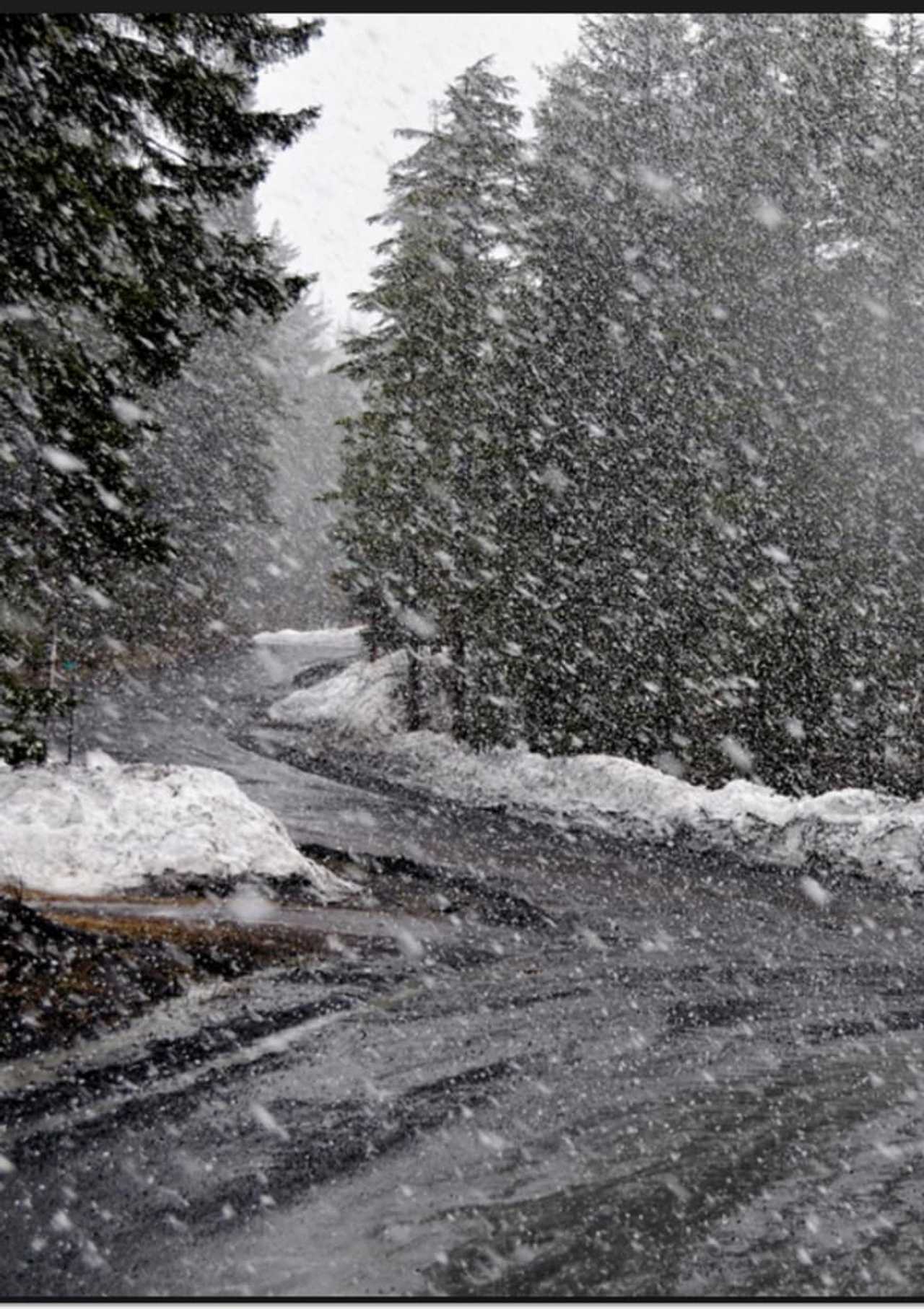 Overnight Snow Could Make For Slick Morning Commute
