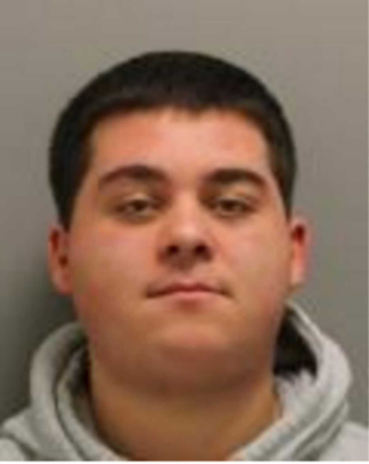 Man Caught With 5 Pounds Of Pot, Concentrated Cannabis In I-87 Stop